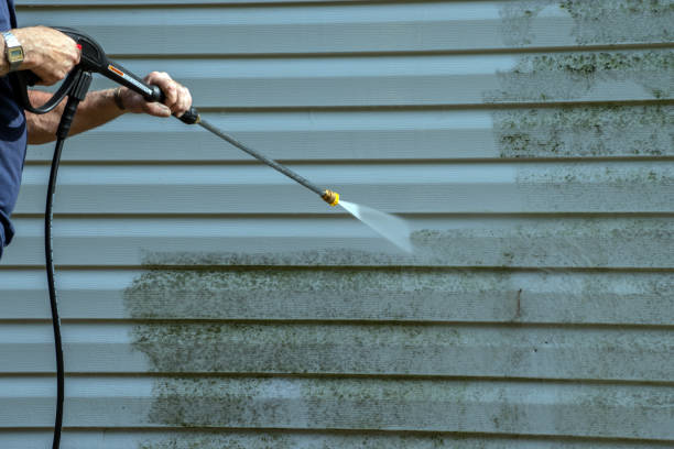 Best Affordable Pressure Washing  in Frisco City, AL
