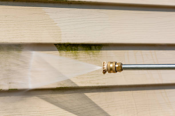 Best Pressure Washing Company Near Me  in Frisco City, AL